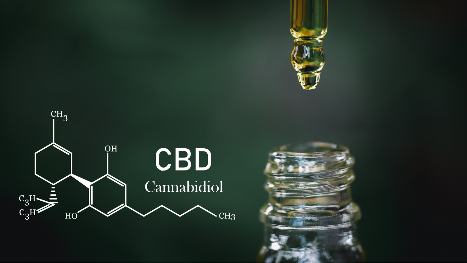 "CBD: Eine umfassende Übersicht darüber, für wen es geeignet ist