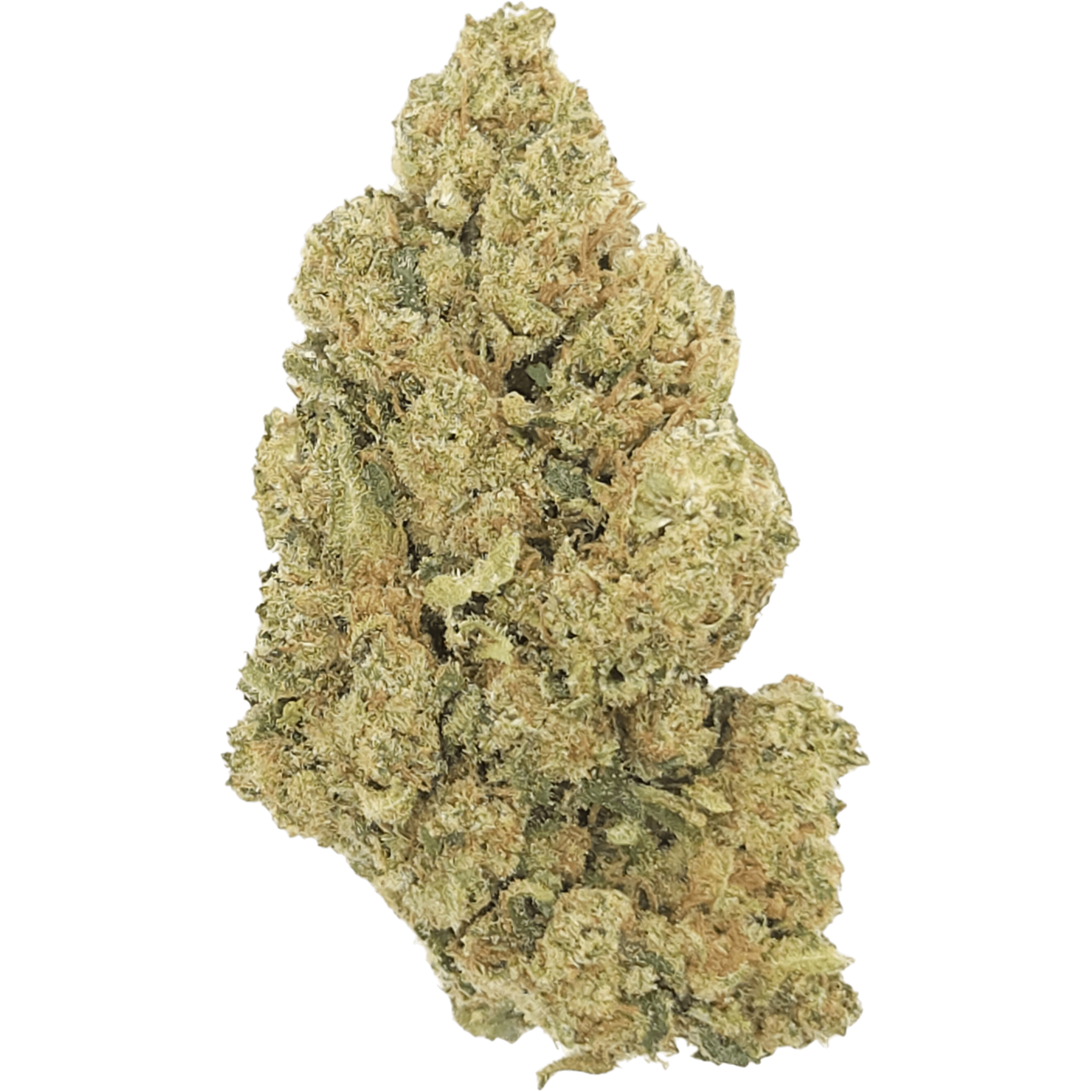 CBD Blüten "AMNESIA HAZE" - HAZE & KUSH - CBD Shop