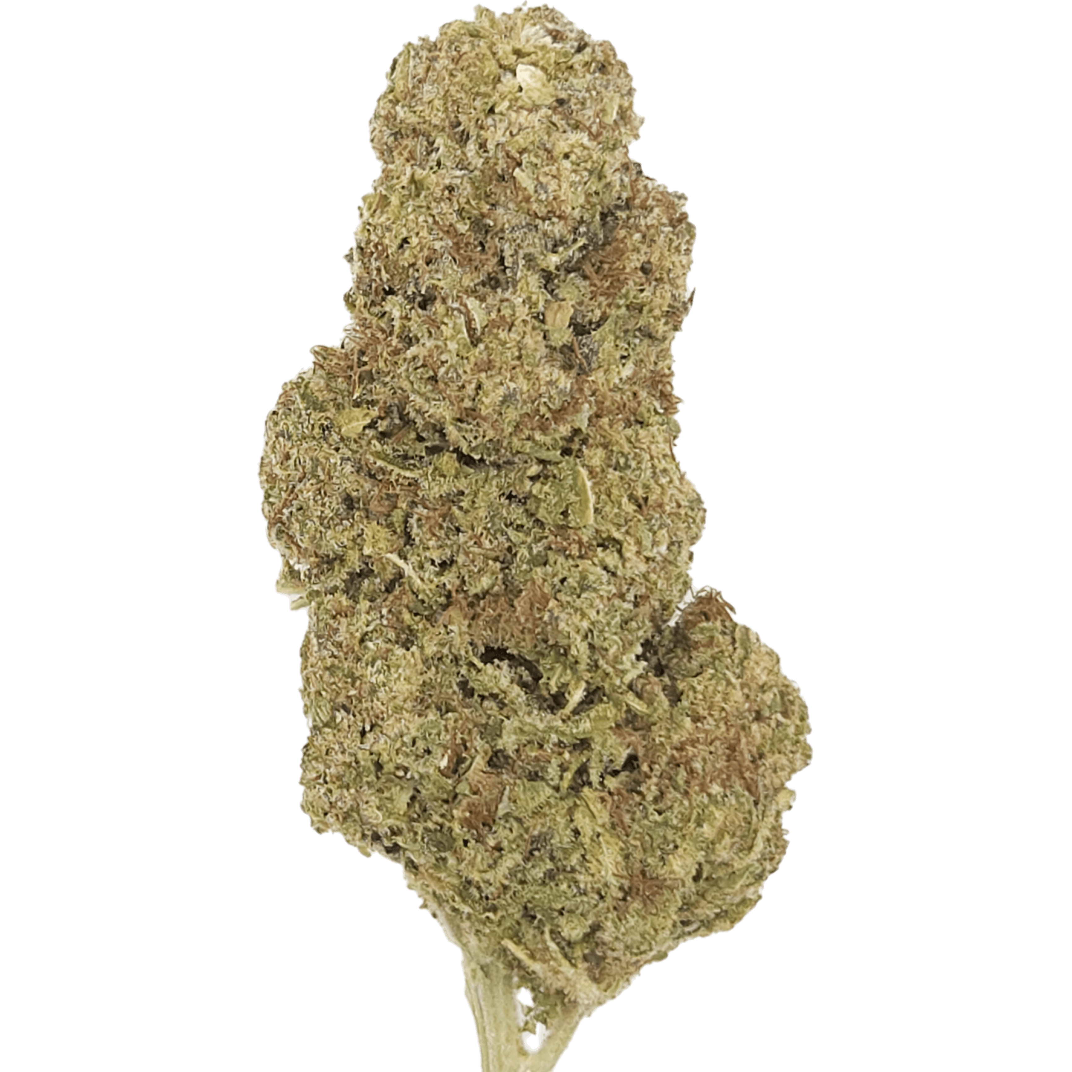 CBD Blüten "BANANA SOUR" - HAZE & KUSH - CBD Shop